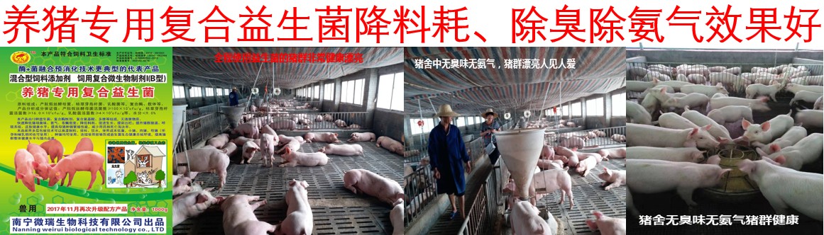 养猪专用复合益生菌对降低料耗、氨气臭味效果好