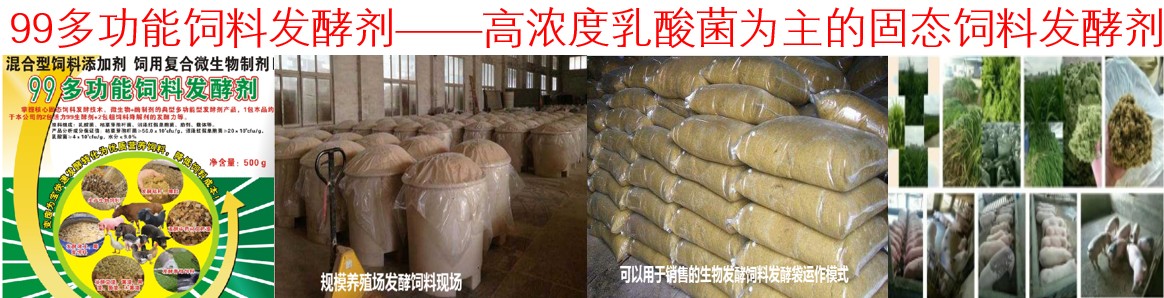 99多功能饲料发酵剂——高浓度乳酸菌为主的固态饲料发酵剂
