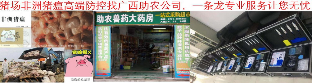 猪场非洲猪瘟高端防控找广西助农公司，一条龙专业服务让您无忧