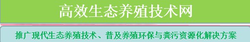 高效生态养殖技术网