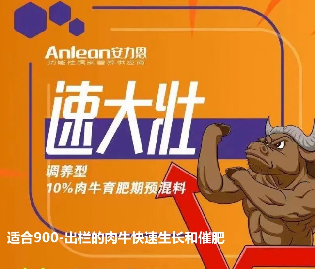 安力恩——速达壮调养型10%肉牛育成期预混料-适合900-出栏的肉牛快速生长和催肥