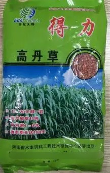 得力高丹草---“养鱼青饲料之王”，具有产量高、叶量丰富、适应性广、营养丰富、生长速度快、多次刈割、利用率高