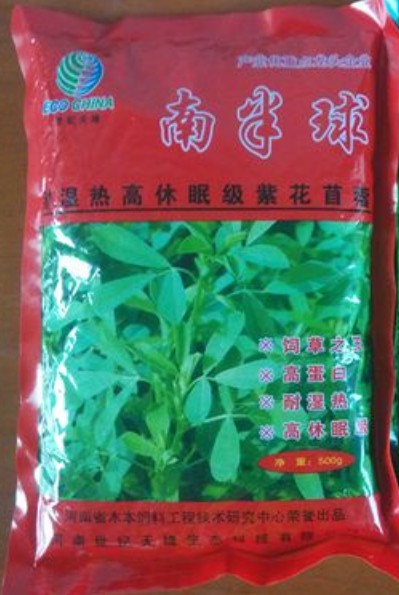南半球紫花苜蓿,富含粗蛋白、维生素和矿物质及动物必需的氨基酸优质牧草