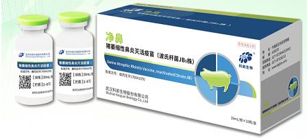 净鼻——猪萎缩性鼻炎灭活疫苗（波氏杆菌JB5株）