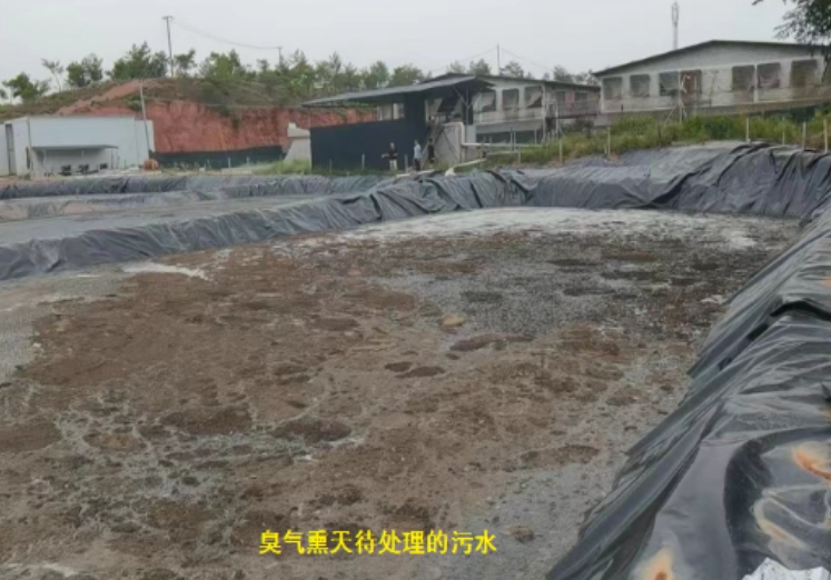 微信截图_20241209103054.jpg
