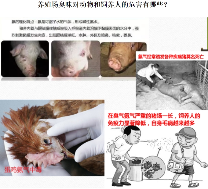 微信截图_20250113154629.jpg