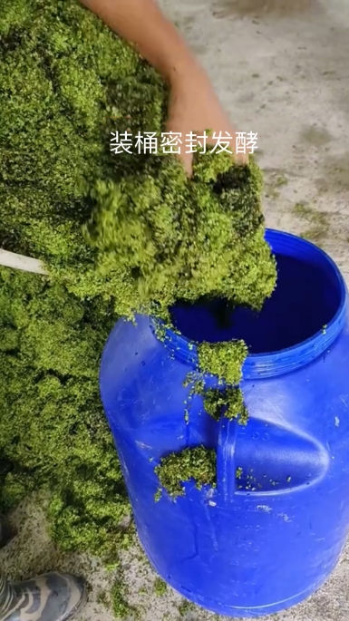 微信截图_20250303112447.jpg