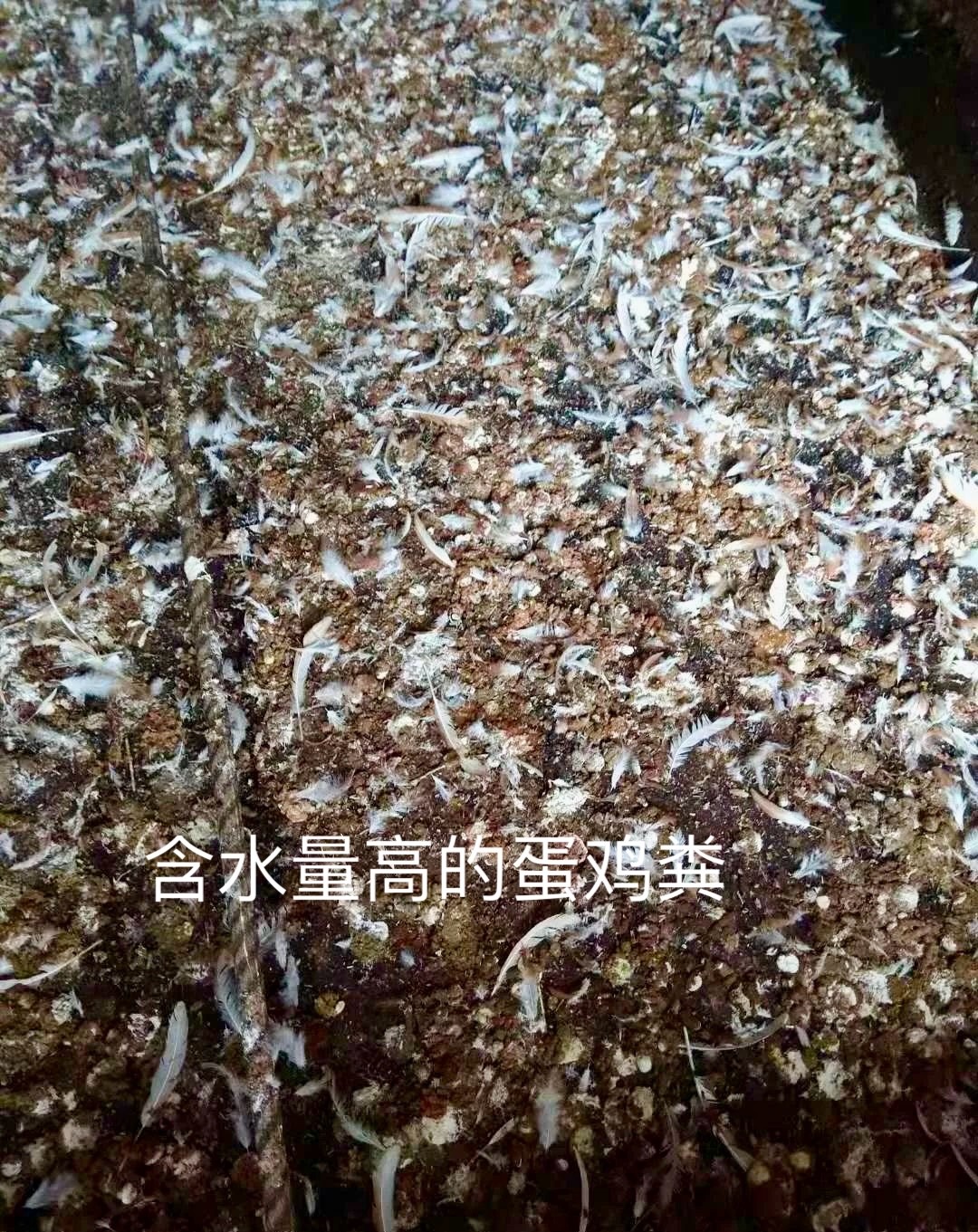 微信图片_20250506210729.jpg