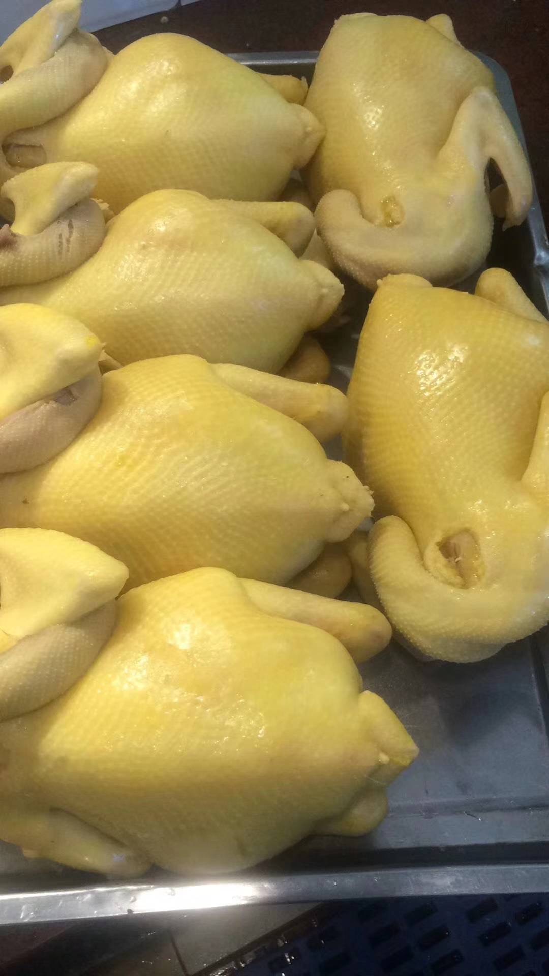微信图片_20250509213943.jpg