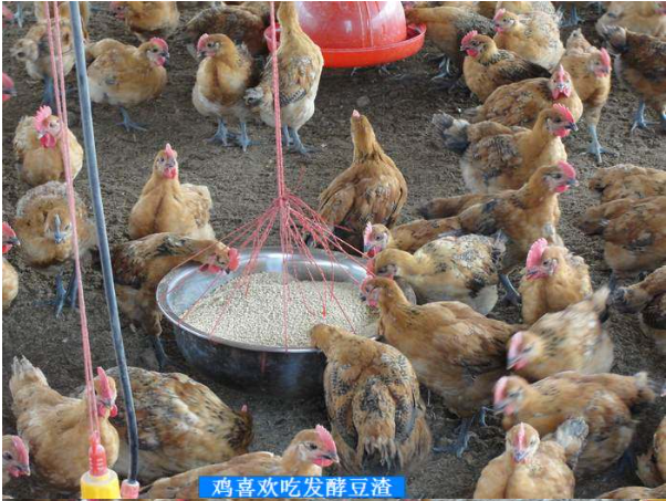 活力发酵床5.png