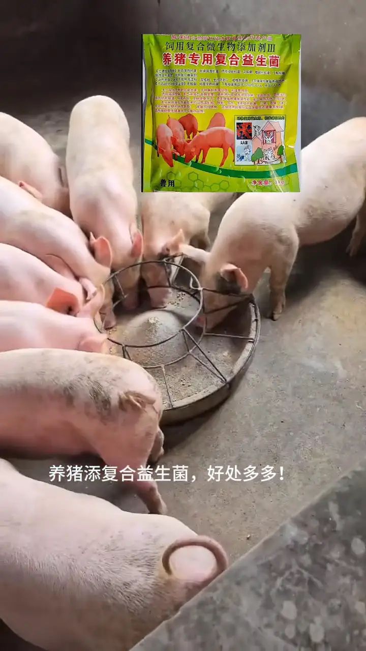 QQ图片20250729123855.jpg