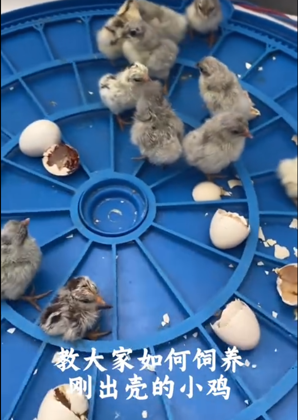 截图20250828102322.png