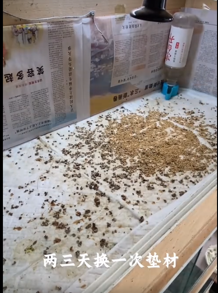 截图20250828102819.png