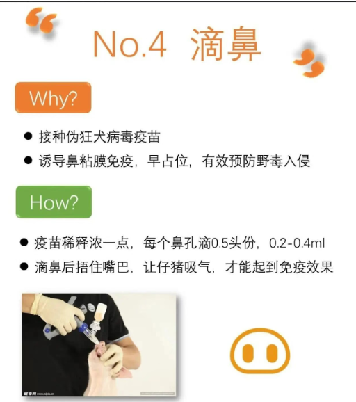 截图20250903091804.png