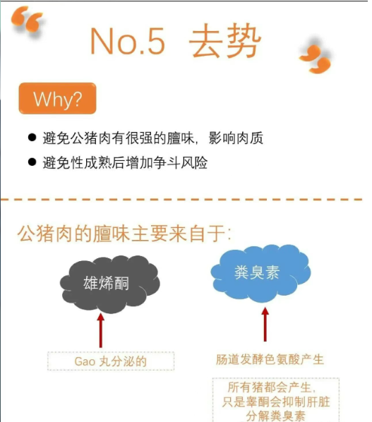 截图20250903091823.png