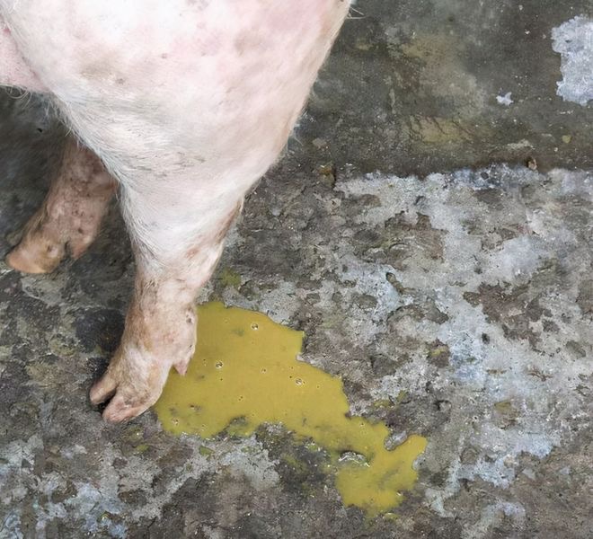 微信图片_20251023091918.jpg 微信图片_20251023091918.jpg