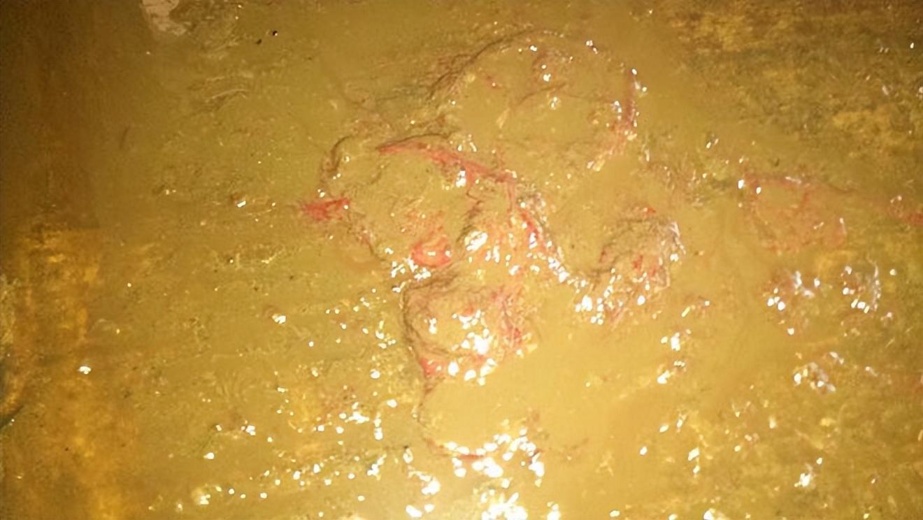 d874964a-5fe9-4d64-b456-caf0f5316b61_1761872381226240328_origin~tplv-a9rns2rl98-image-qvalue.jpg d874964a-5fe9-4d64-b456-caf0f5316b61_1761872381226240328_origin~tplv-a9rns2rl98-image-qvalue.jpg