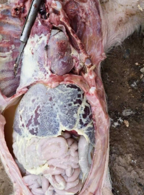 微信截图_20251031094341.jpg 微信截图_20251031094341.jpg