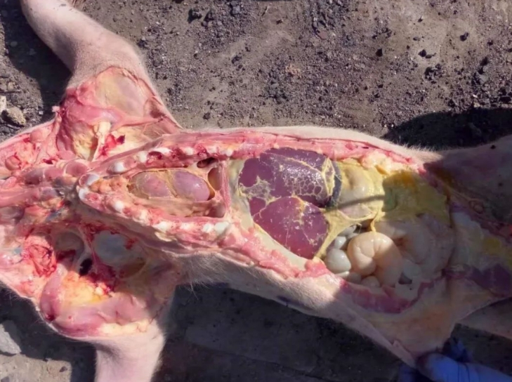 微信截图_20251031094401.jpg 微信截图_20251031094401.jpg