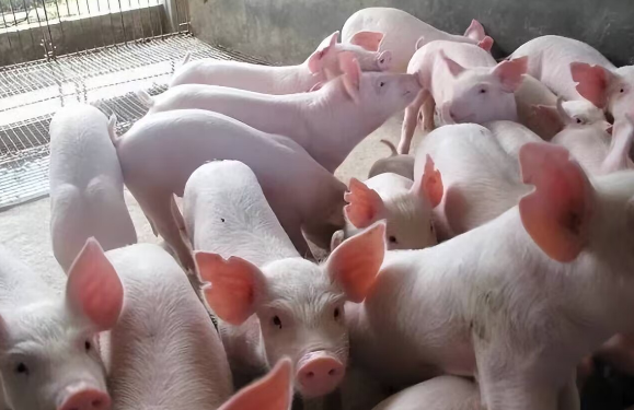 1718162037228412.png 1718162037228412.png