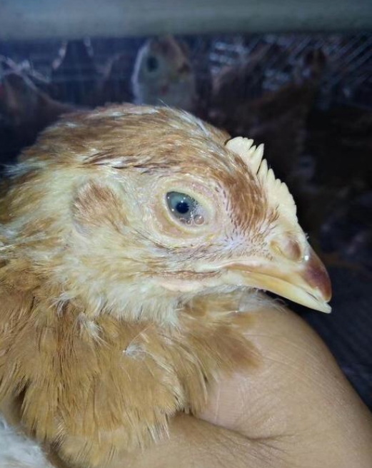 微信截图_20251104091845.jpg 微信截图_20251104091845.jpg