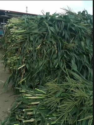 截图20251107092212.png 截图20251107092212.png