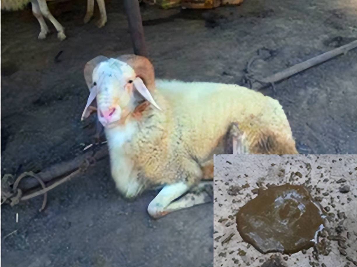 微信图片_20251110100105.jpg 微信图片_20251110100105.jpg