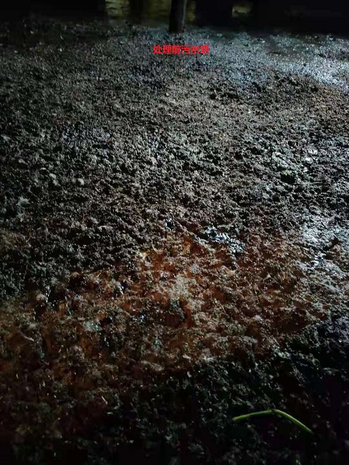 鱼塘3.jpg 鱼塘3.jpg