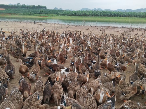 QQ图片20230720114530.jpg QQ图片20230720114530.jpg