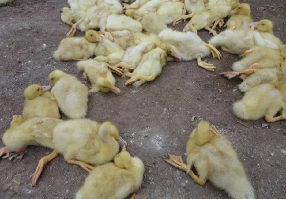 微信截图_20251120093254.jpg 微信截图_20251120093254.jpg