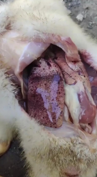 微信截图_20251120093308.jpg 微信截图_20251120093308.jpg