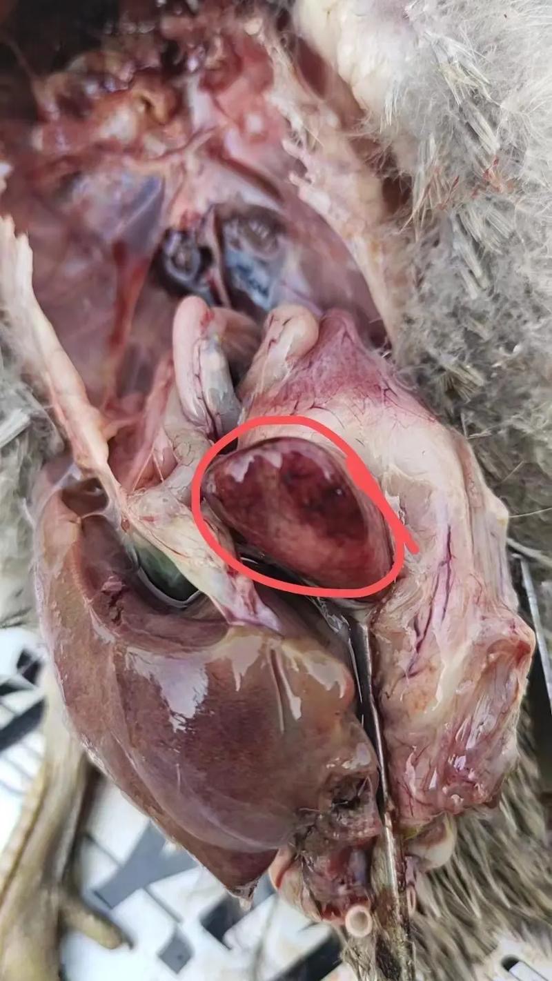 微信图片_20251120093238.jpg 微信图片_20251120093238.jpg