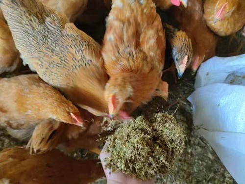 微信图片_20231229103119.jpg 微信图片_20231229103119.jpg