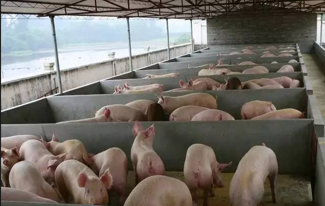 截图20251121091338.png 截图20251121091338.png