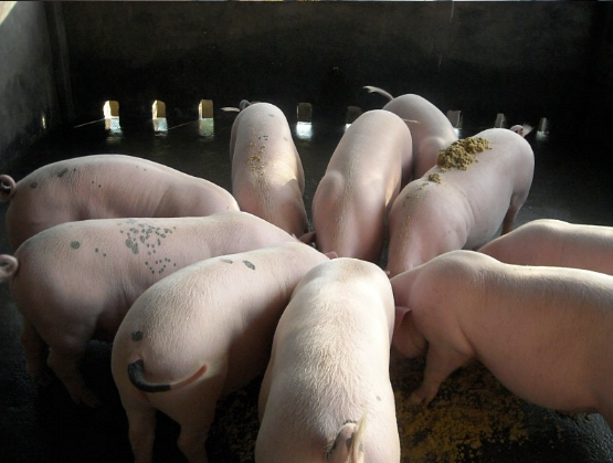 截图20251121091558.png 截图20251121091558.png