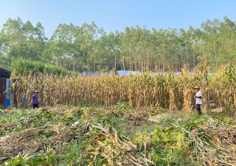 QQ图片20250328102357.png QQ图片20250328102357.png