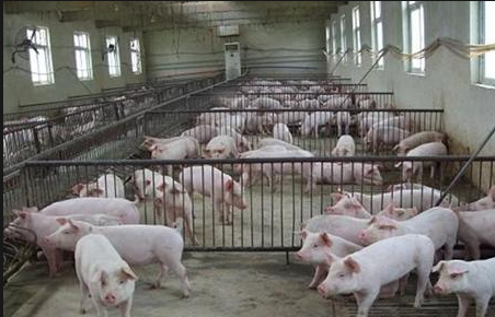 截图20250916090835.png 截图20250916090835.png