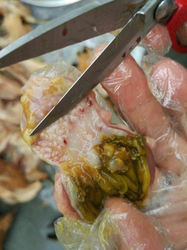 微信图片_20251212103014.jpg 微信图片_20251212103014.jpg