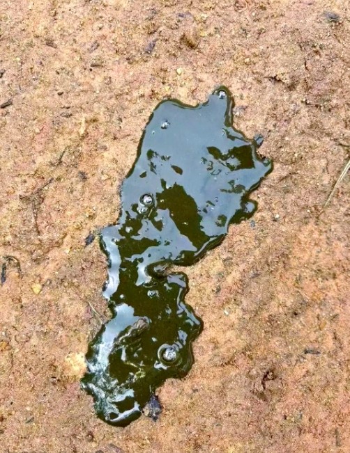 微信截图_20251212103008.jpg 微信截图_20251212103008.jpg