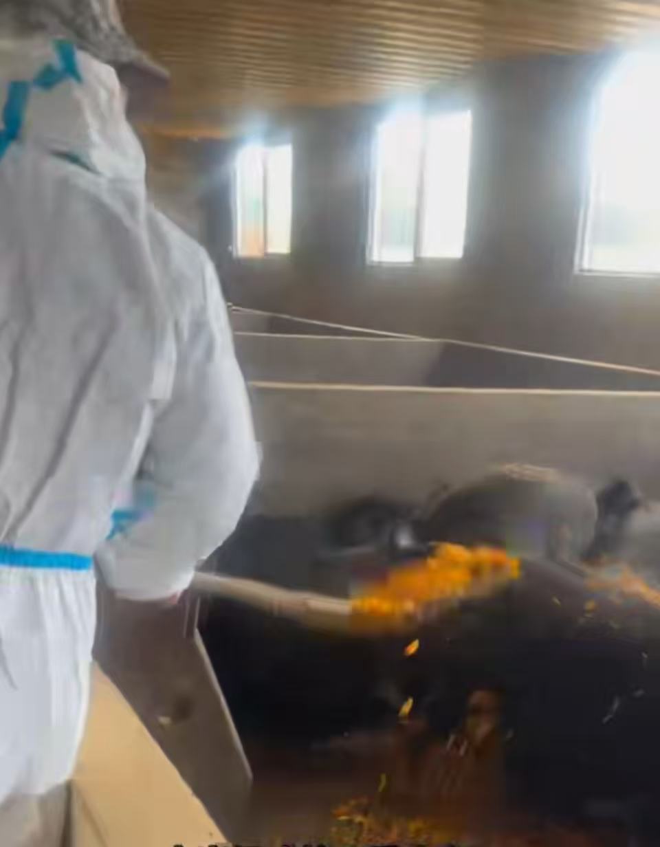 a635f4287abb5ad6811fdbfe9b86959b.jpg a635f4287abb5ad6811fdbfe9b86959b.jpg