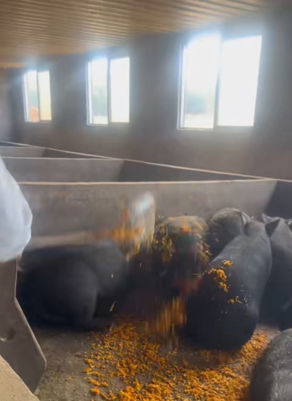 f4429eb6e3933c1cad478271282c6ca0.jpg f4429eb6e3933c1cad478271282c6ca0.jpg