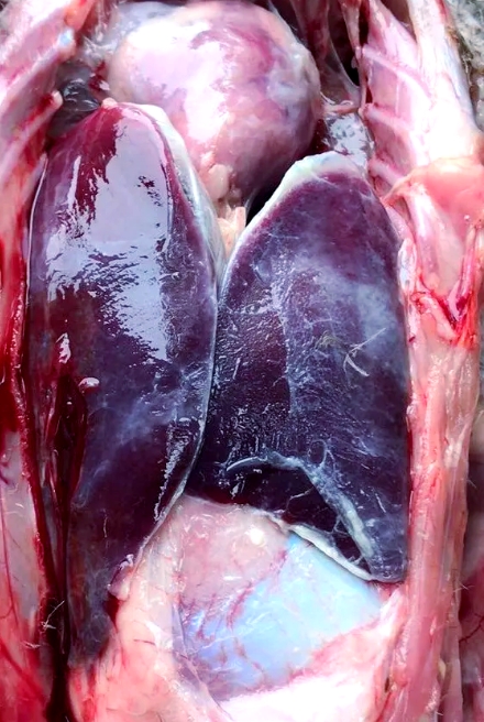 微信截图_20251216092357.jpg 微信截图_20251216092357.jpg