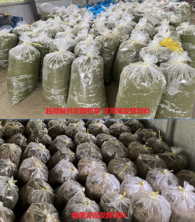 广西助农生态养殖示范基地长期提供优质发酵饲料2.jpg 广西助农生态养殖示范基地长期提供优质发酵饲料2.jpg