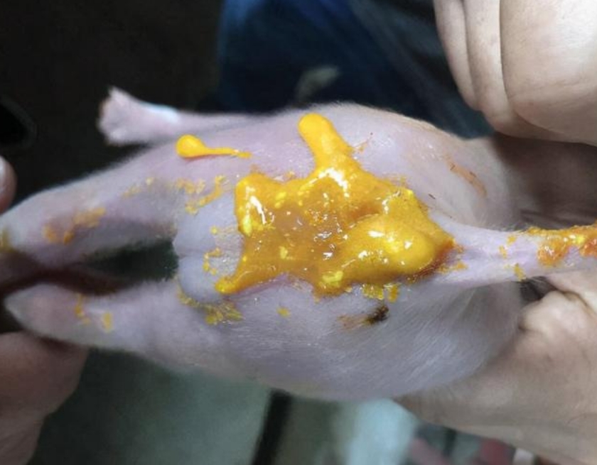 微信截图_20260108095019.jpg 微信截图_20260108095019.jpg