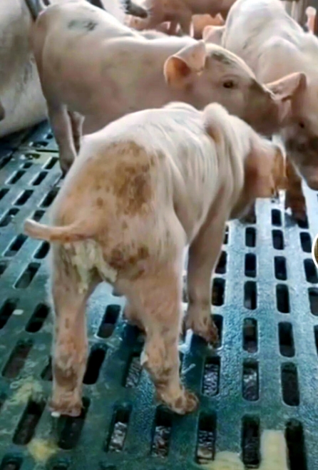 微信截图_20260108095005.jpg 微信截图_20260108095005.jpg