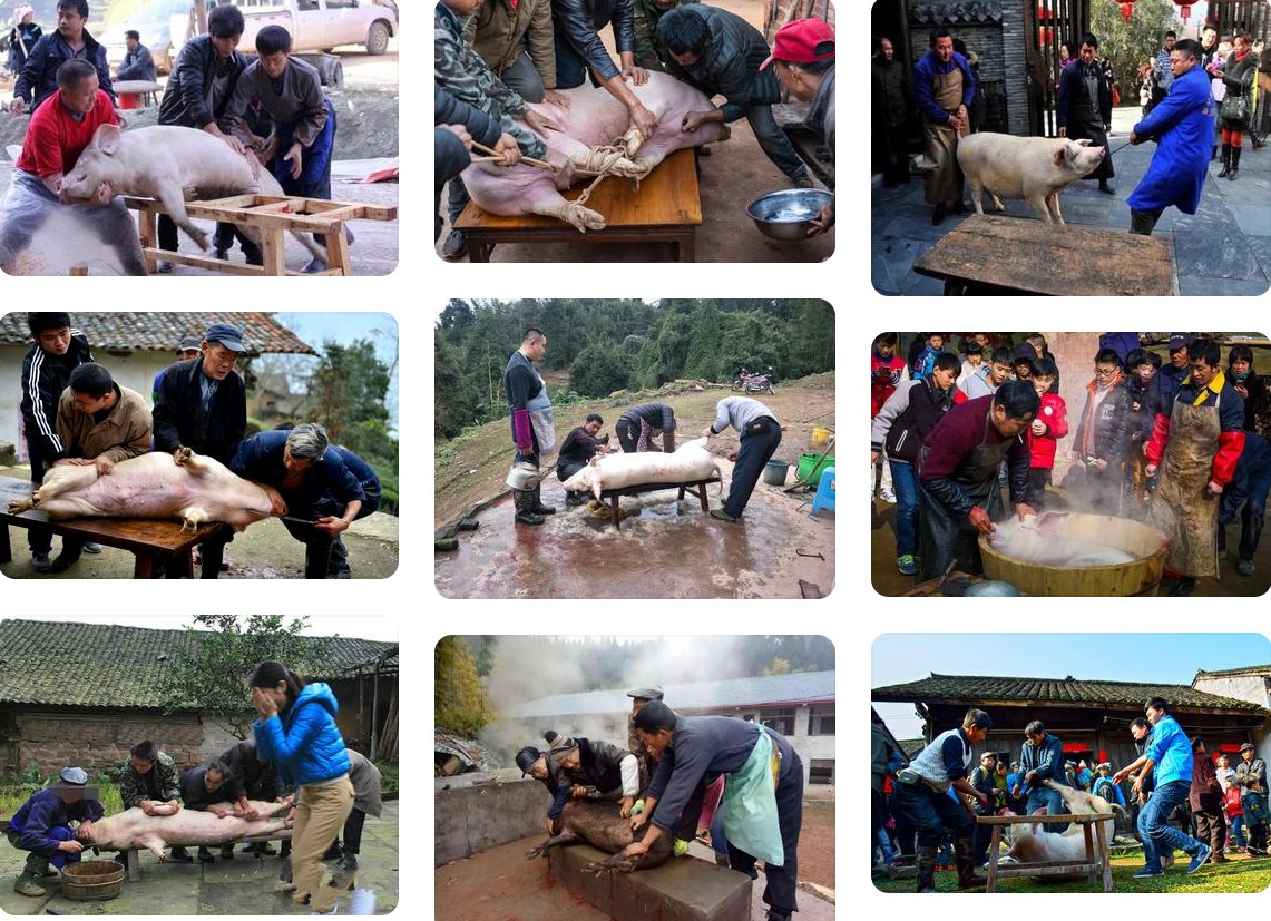杀年猪.jpg