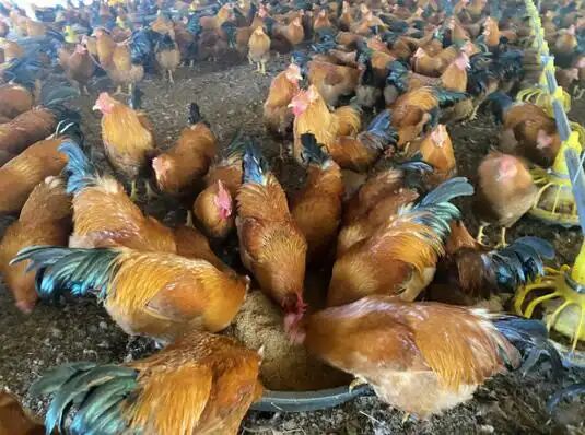 520e0bc6ad08cff3e357ec4cd41c65ce.jpg 520e0bc6ad08cff3e357ec4cd41c65ce.jpg