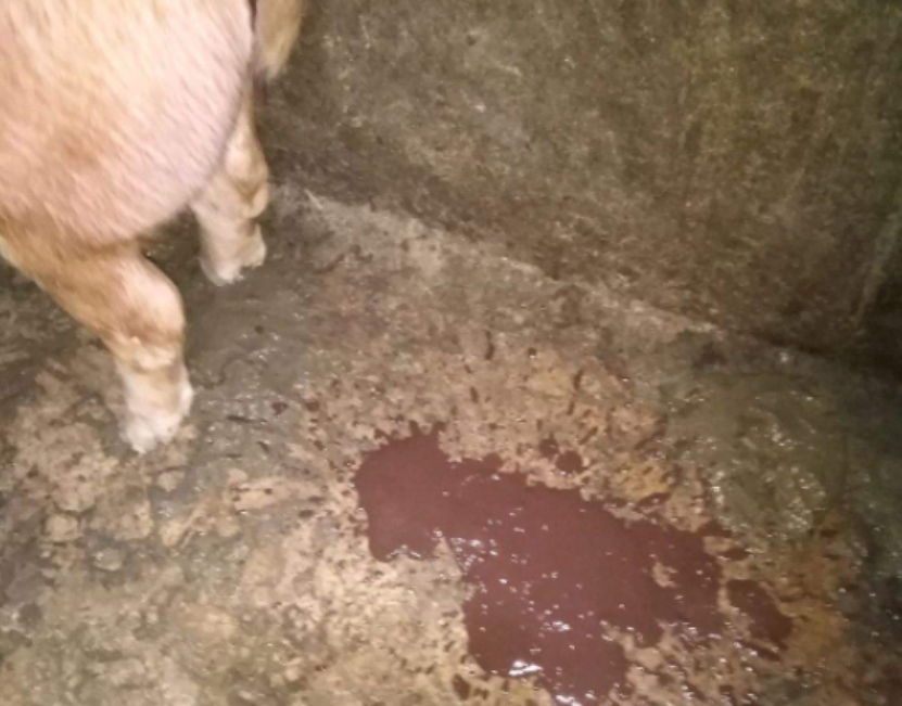 微信截图_20260122094454.jpg 微信截图_20260122094454.jpg