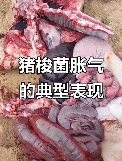 微信截图_20260122094438.jpg 微信截图_20260122094438.jpg