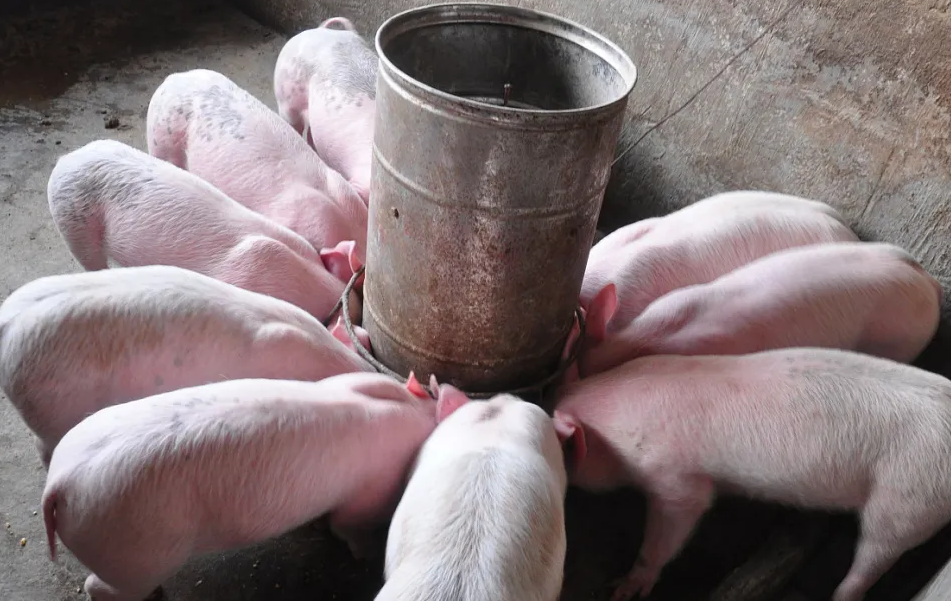 截图20250321093415.png 截图20250321093415.png